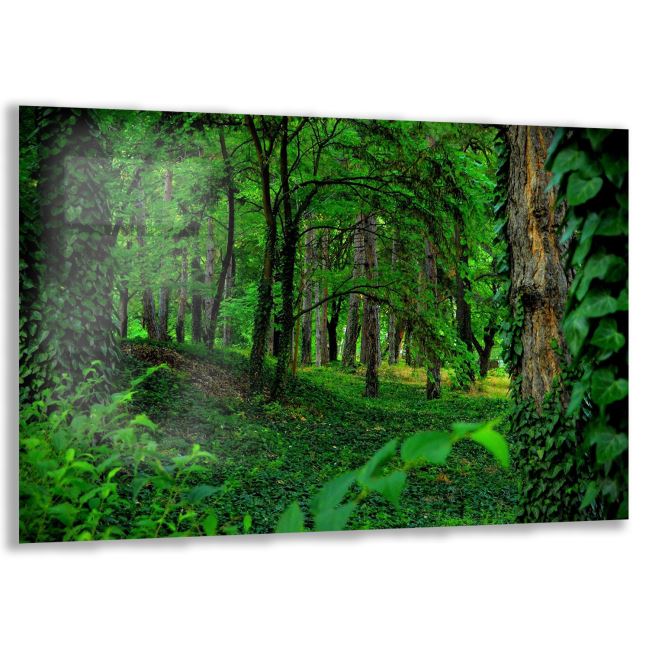 Yeşil Orman Manzaralı Cam Tablo - Yatay Motif 01-018 