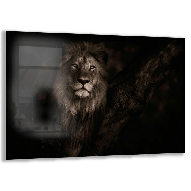 Aslan Cam Tablo - Yatay Motif 01-001 