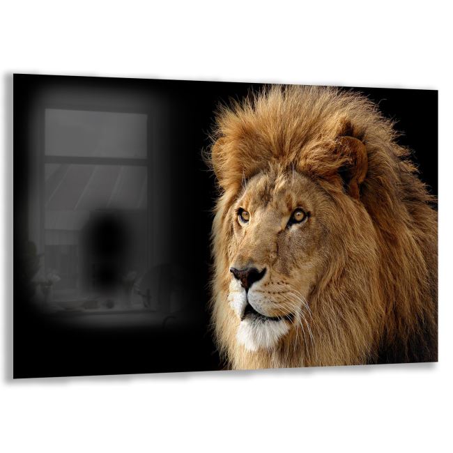 Aslan Cam Tablo - Yatay Motif 01-002 