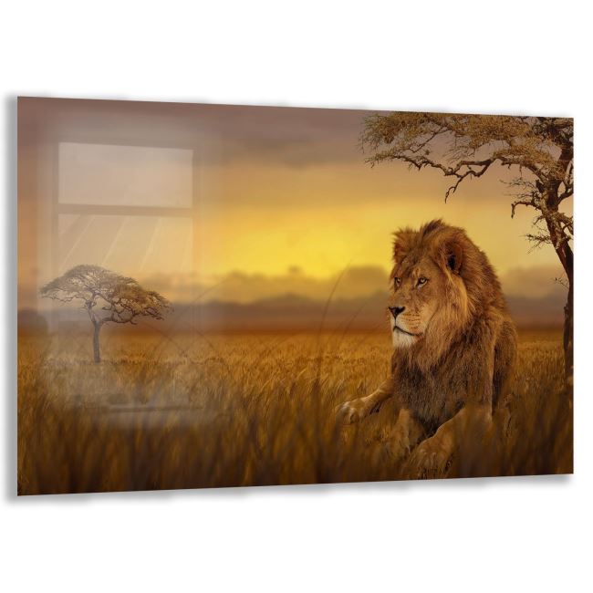 Aslan Cam Tablo