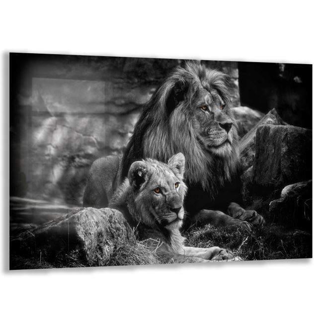 Aslan Cam Tablo - Yatay Motif 01-005 