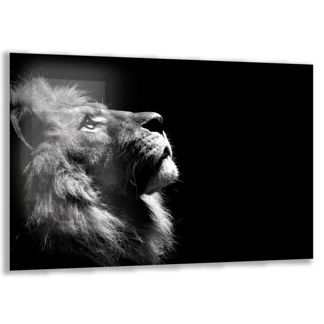 Aslan Cam Tablo - Yatay Motif 01-007 