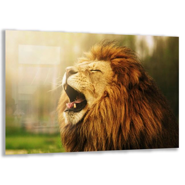 Aslan Cam Tablo - Yatay Motif 01-010 