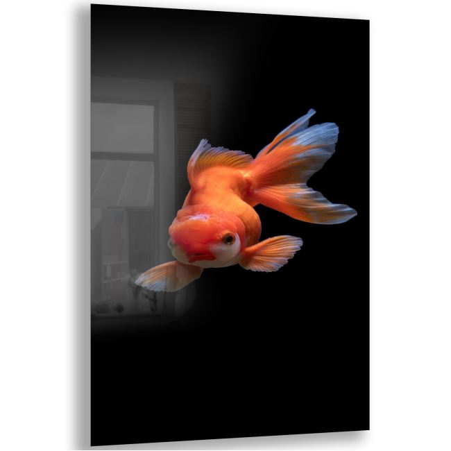 Balık Cam Tablo - Dikey Motif 02-002 