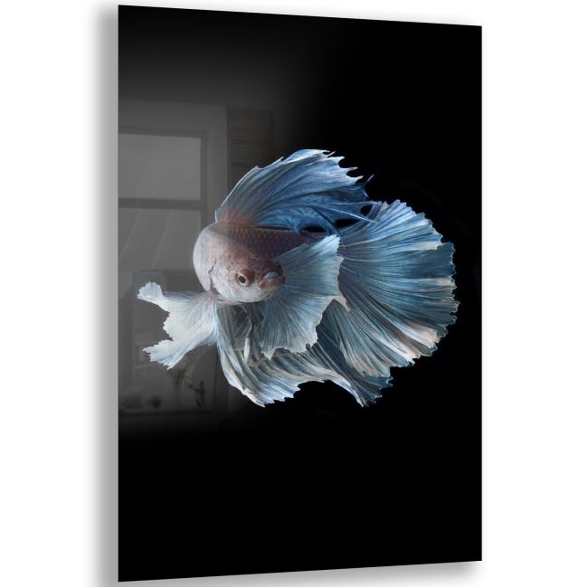 Balık Cam Tablo - Dikey Motif 02-004 
