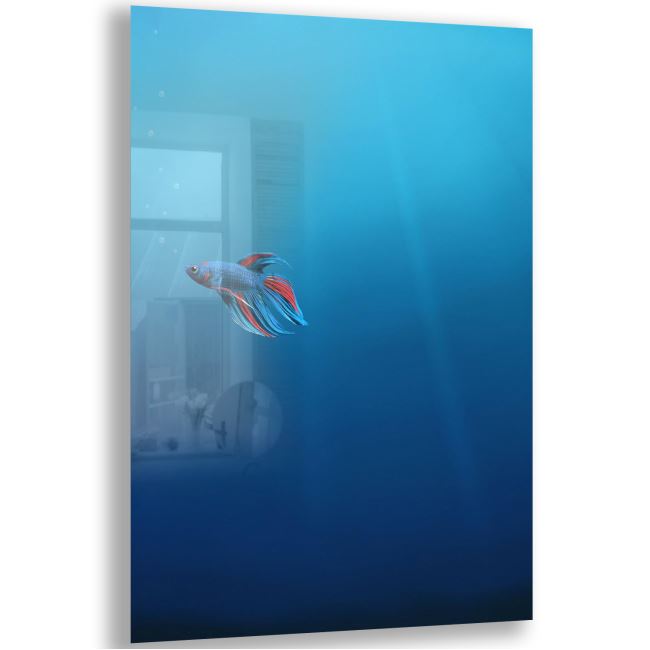 Balık Cam Tablo - Dikey Motif 02-016 