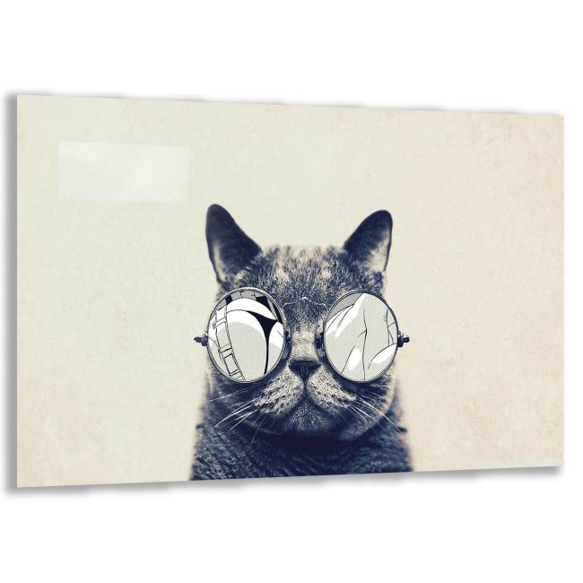 Kedi Cam Tablo - Yatay Motif 01-009 