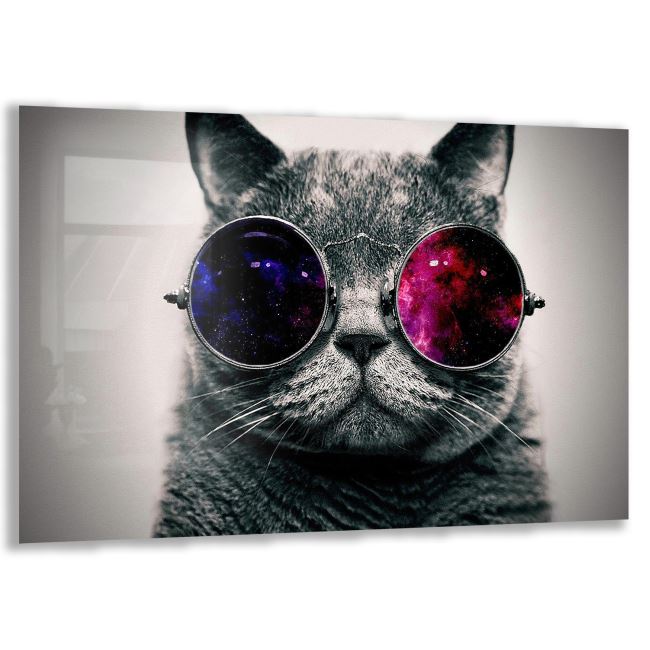Kedi Cam Tablo - Yatay Motif 01-013 