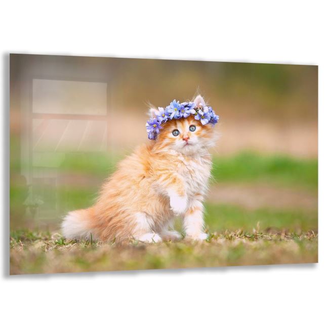 Kedi Cam Tablo - Yatay Motif 01-015 