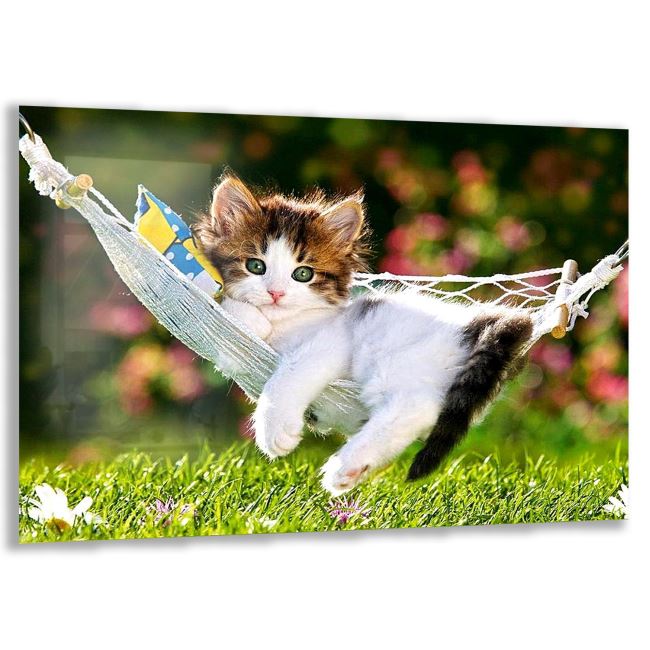 Kedi Cam Tablo - Yatay Motif 01-019 