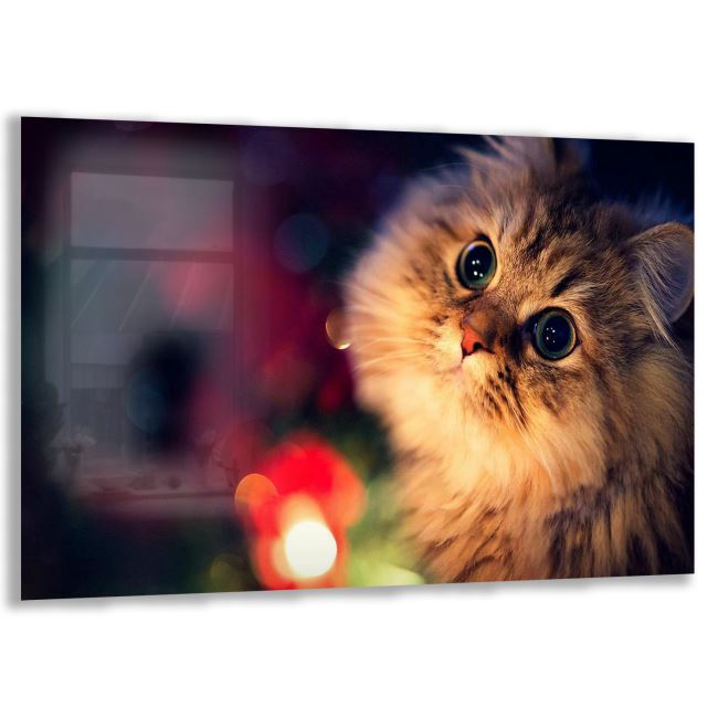 Kedi Cam Tablo - Yatay Motif 01-021 