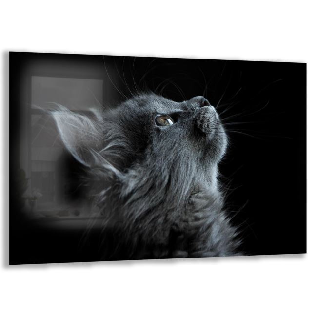 Kedi Cam Tablo - Yatay Motif 01-022 