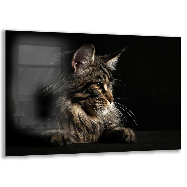 Kedi Cam Tablo - Yatay Motif 01-023 