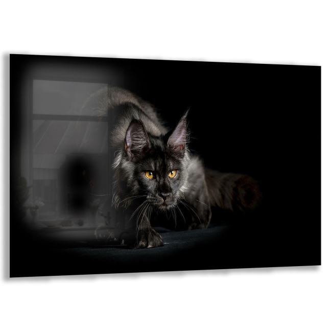 Kedi Cam Tablo - Yatay Motif 01-027 