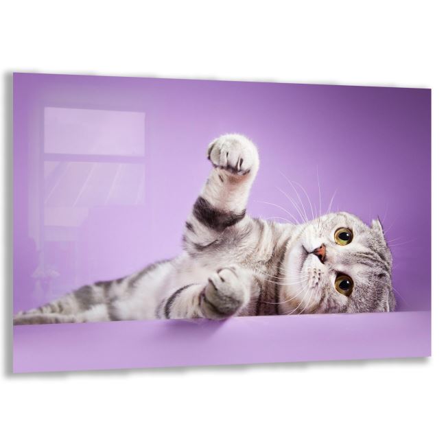 Kedi Cam Tablo - Yatay Motif 01-028 