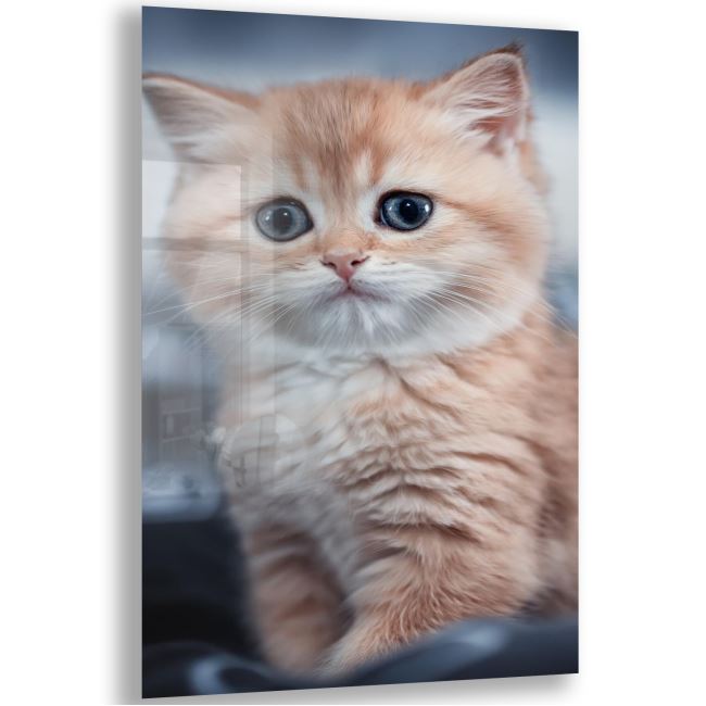 Kedi Cam Tablo - Dikey Motif 02-001 