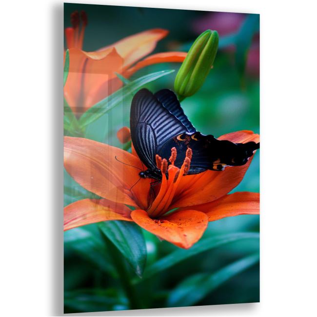 Kelebek Cam Tablo - Dikey Motif 02-001 