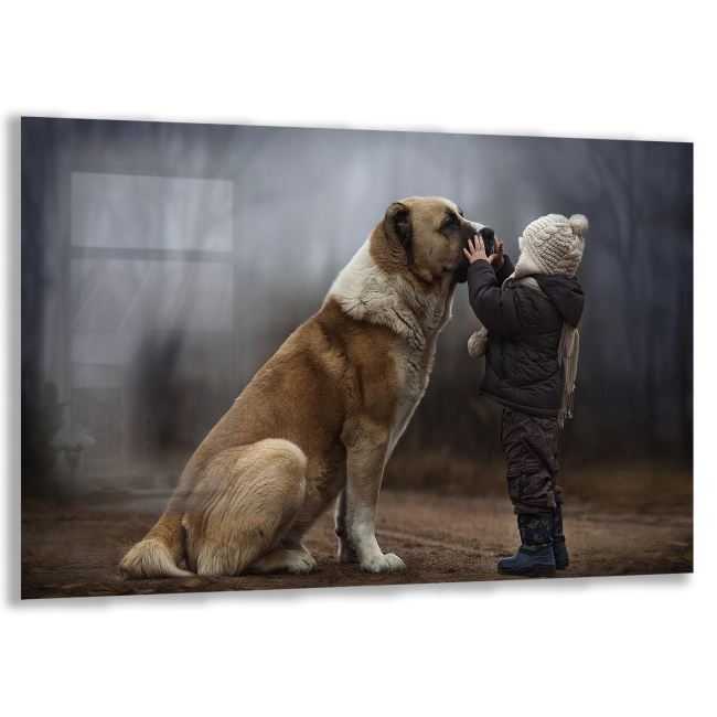 Köpek Cam Tablo