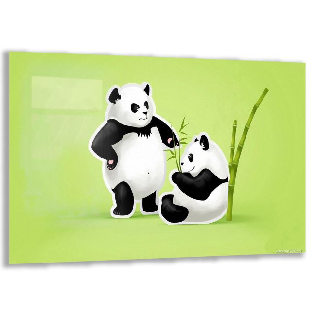Panda Cam Tablo - Yatay Motif 01-004 