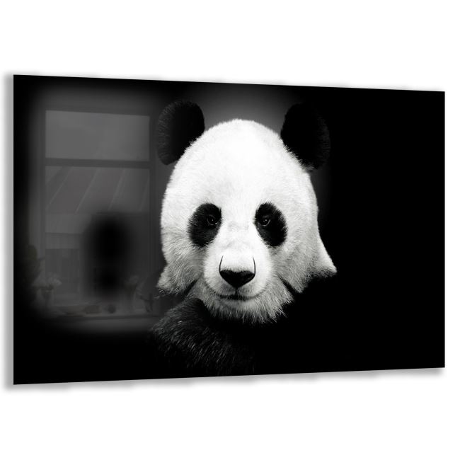 Panda Cam Tablo - Yatay Motif 01-014 
