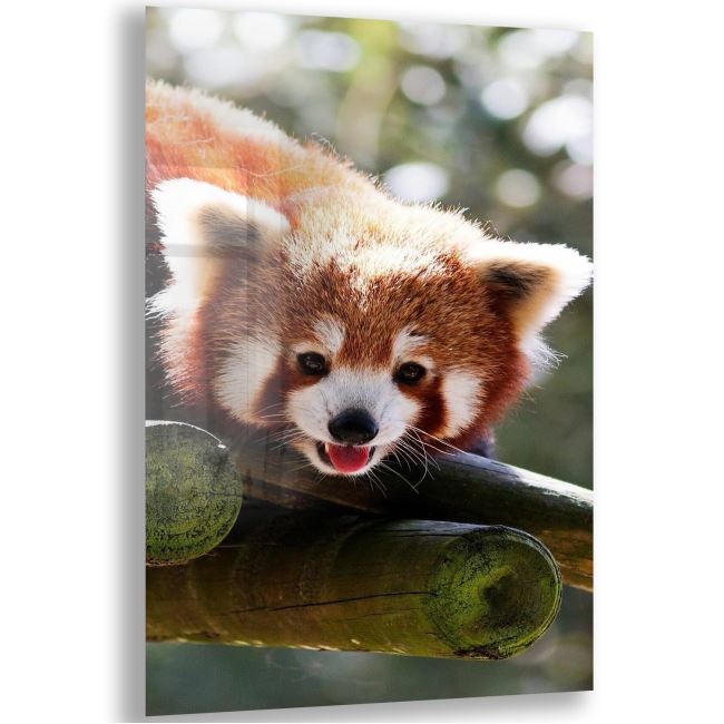 Panda Cam Tablo - Dikey Motif 02-006 