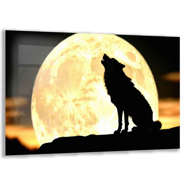 Doğa ve Hayvanlar Temalı Çocuk Odası Cam Tablo - Yatay Motif 01-008 