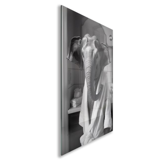Hayvan Cam Tablo - Bornozlu Sevimli Dostlar - Dikey Motif 03-015 30 x 45